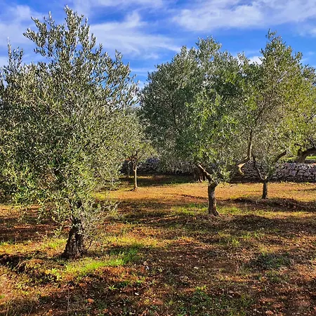 Trulli Rifugio Nella Natura Ceglie Messapica