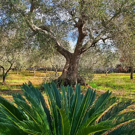 Trulli Rifugio Nella Natura Holiday home *