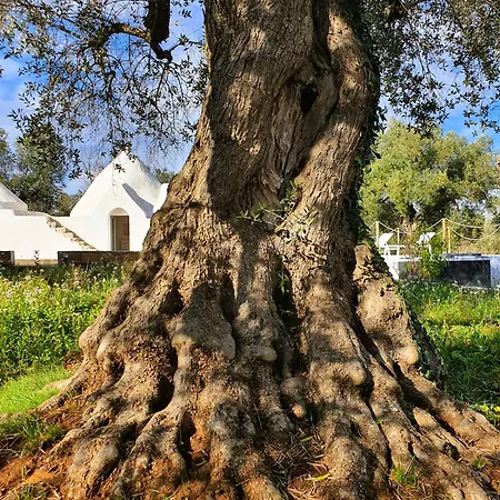 Trulli Rifugio Nella Natura Ceglie Messapica
